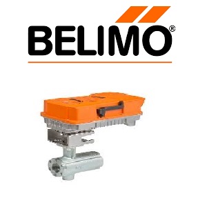 dong ho belimo 1 - Đồng hồ đo lưu lượng Belimo